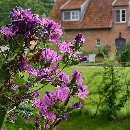Bed & Breakfast Vakantiewoning Victors Hof Tot 4 Pers *